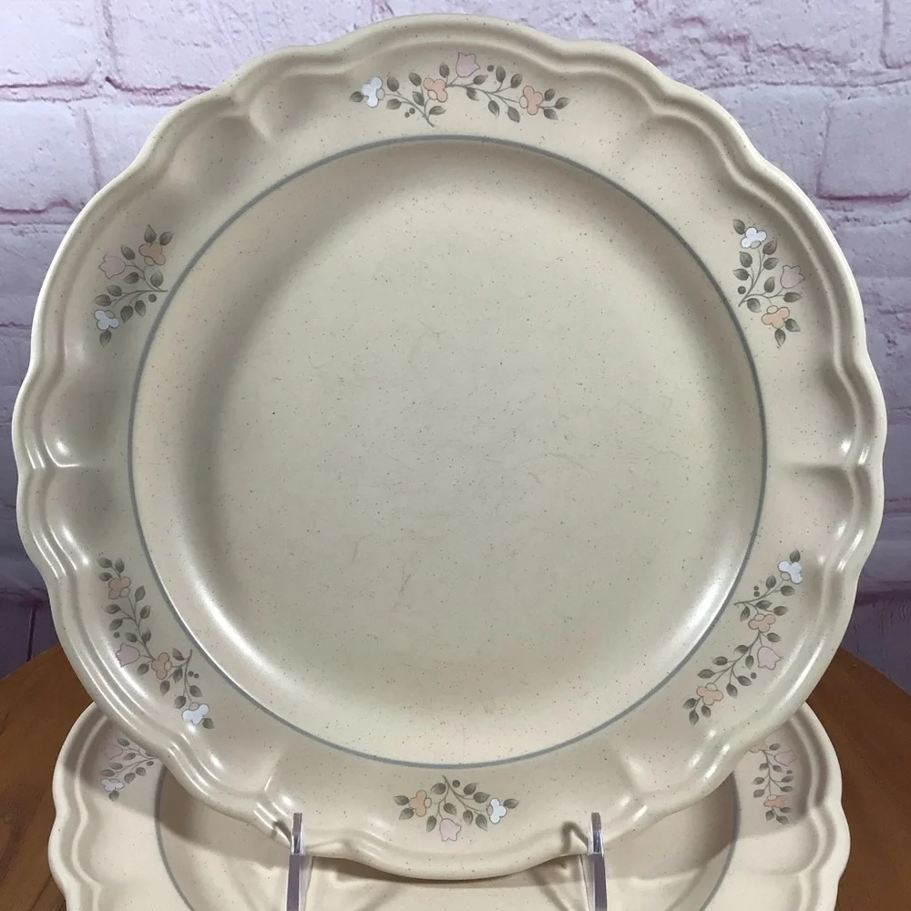 Vintage Pfaltzgraff Remembrance Dinner Plates - Set of 2
